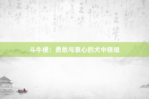斗牛梗：勇敢与衷心的犬中骁雄
